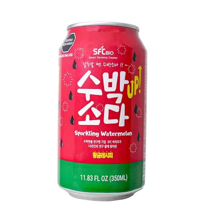 Sparkling Water Melon 350ml